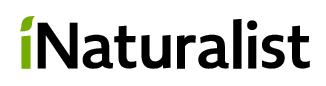 Logo for iNaturalist